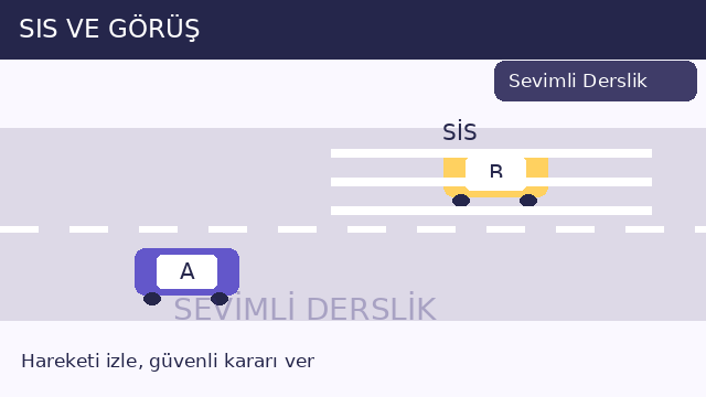 Sis ve görüş sorusunun görseli