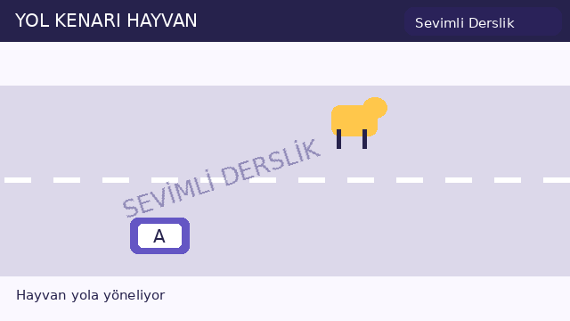 Yol kenarı hayvan sorusunun görseli