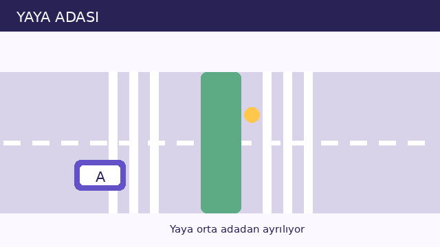 Yaya adası sorusunun görseli