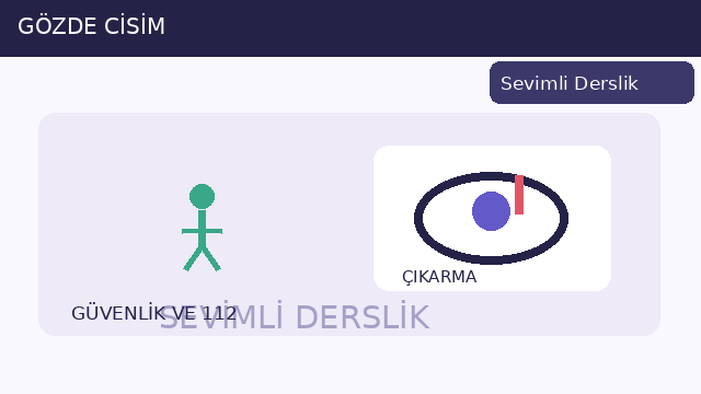 Göze saplanan cisim sorusunun görseli