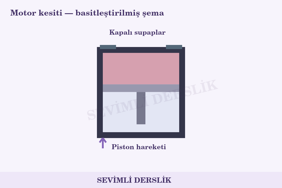 Sıkıştırma hareketini tanıma sorusunun görseli