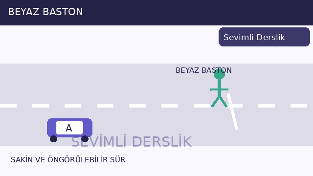 Görme engelli yaya sorusunun görseli