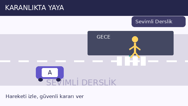 Karanlıkta yaya sorusunun görseli